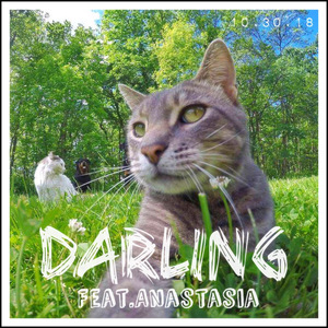 午夜宅男免费在线视频
