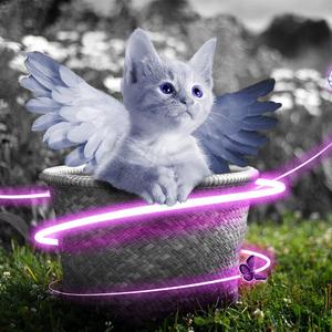 午夜宅男免费在线视频
